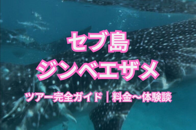 セブ島オスロブでジンベエザメと一緒に泳ぐ様子を水中から撮影した写真