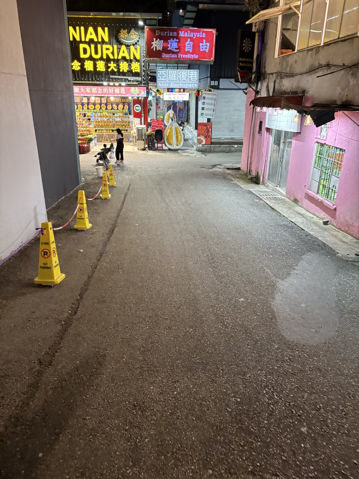 夜のジャラン・アロー、ドリアン専門店の看板が並ぶ雰囲気のある路地